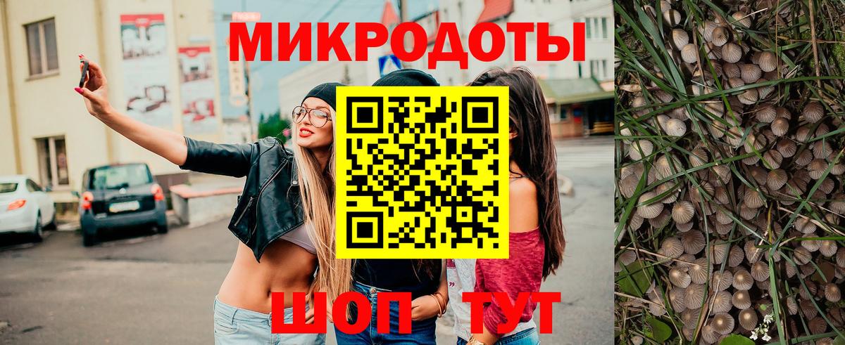 Псилоцибиновые грибы Cubensis  Вход с VPN  Барнаул 